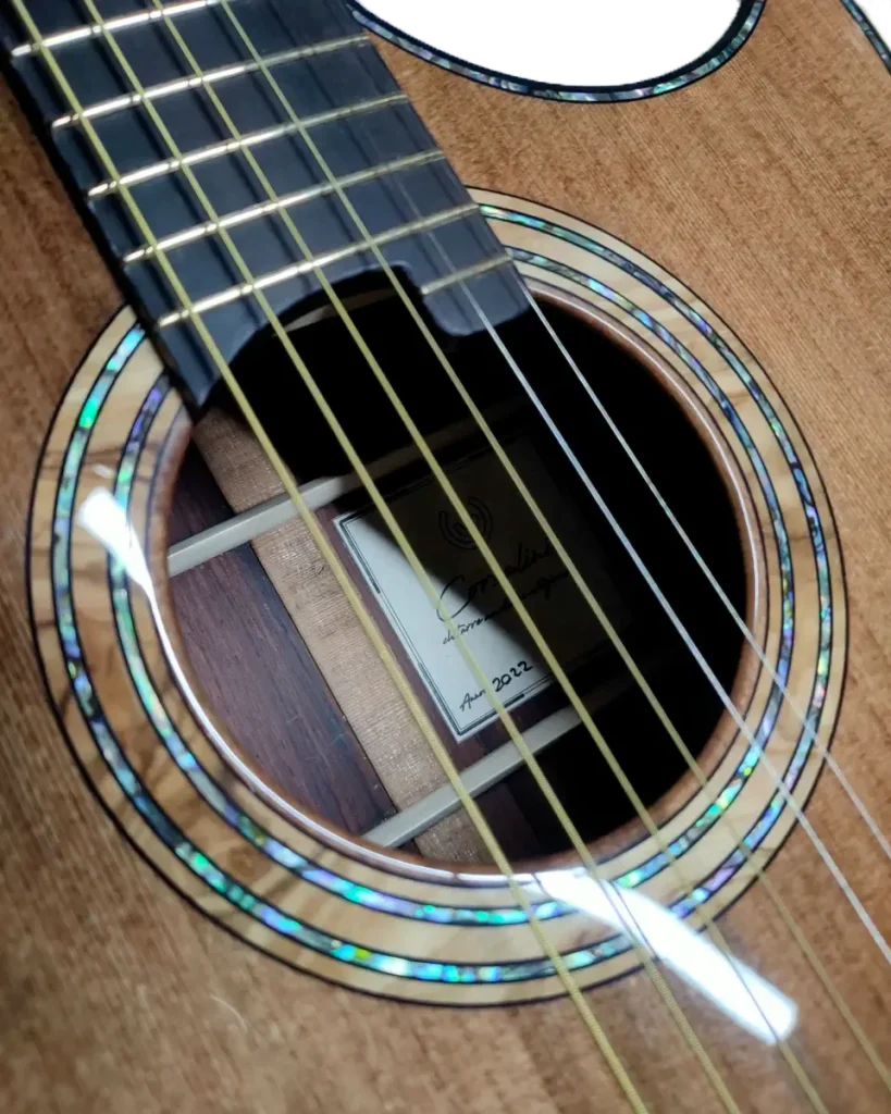 Rosetta Modello Grand Auditorium Cutaway Malaysian Rosewood Corsalini Guitars
